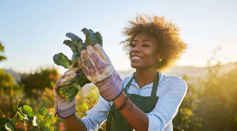 Smiling woman harvesting leafy greens